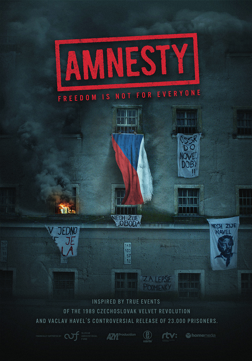 постер Амнистия